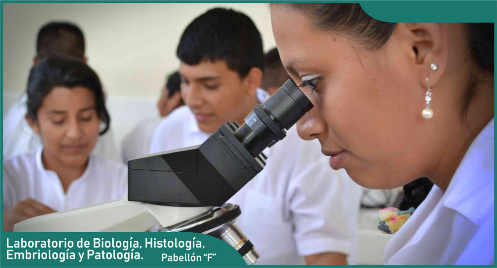 Laboratorio de Biología, Histología, Embriología y Patología